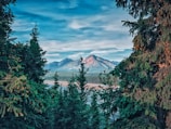 A vast Idaho mountain range under soft peacock blue skies, framed by tall pine trees.