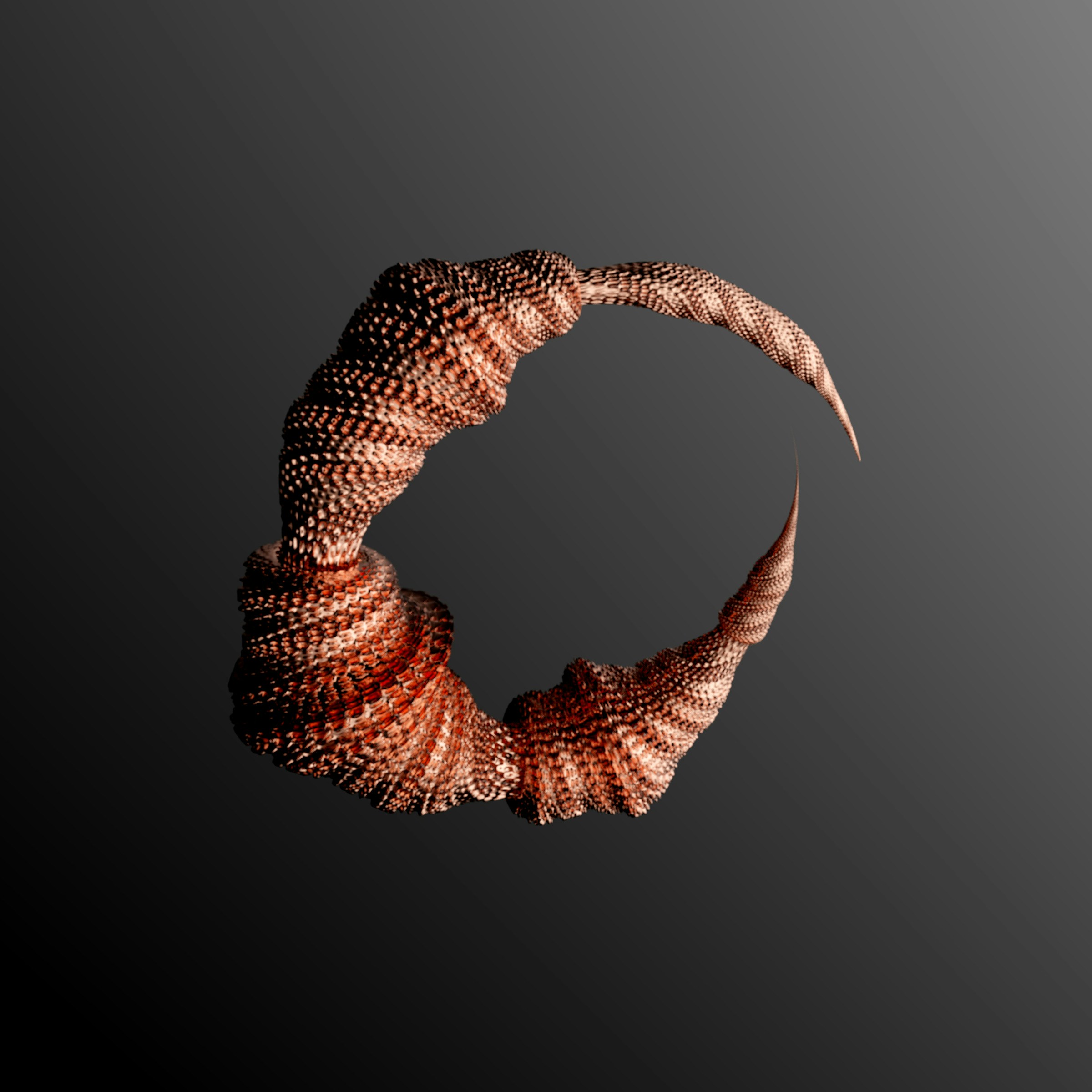 Photo by rick_rothenberg