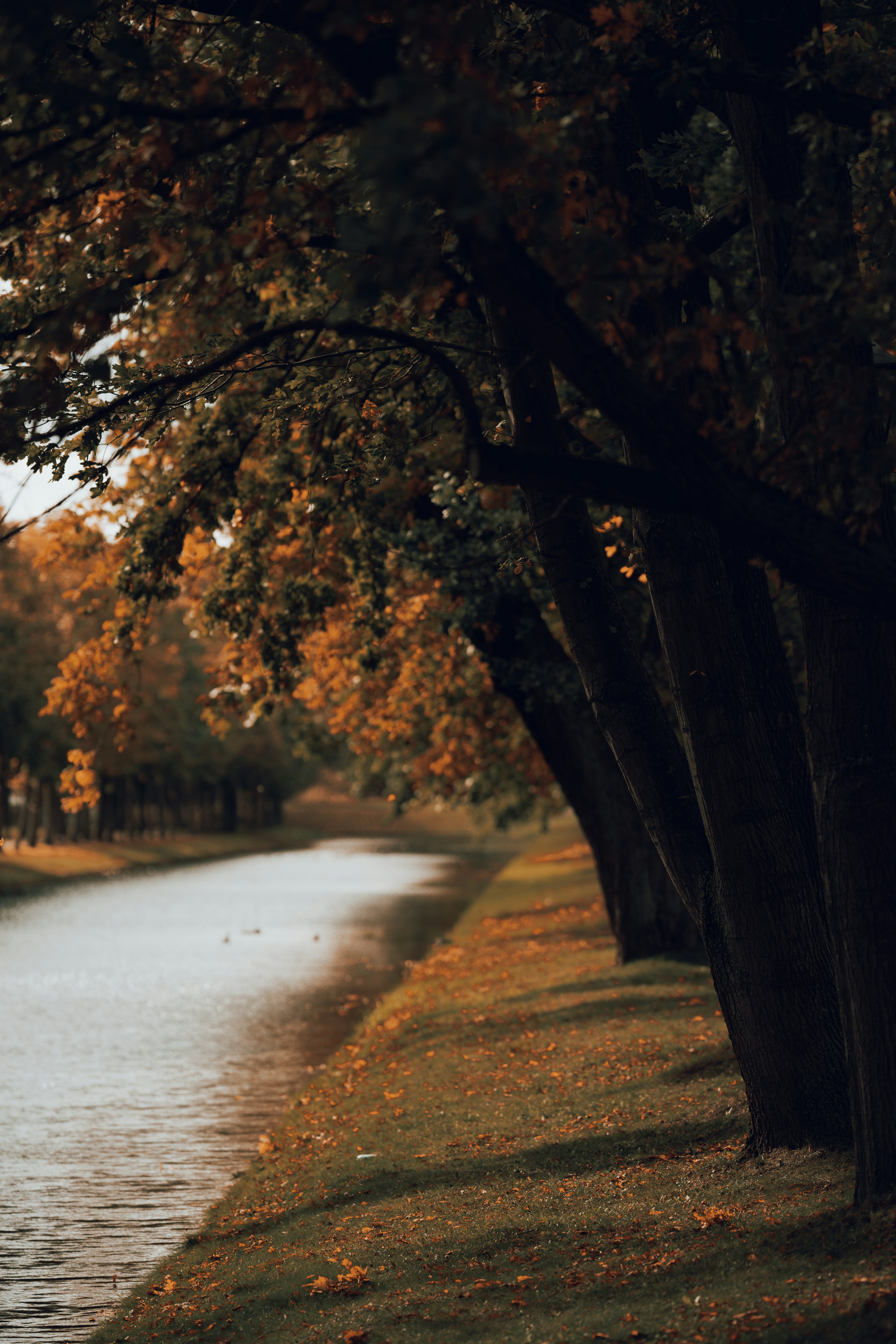 Photo by omarvellous14