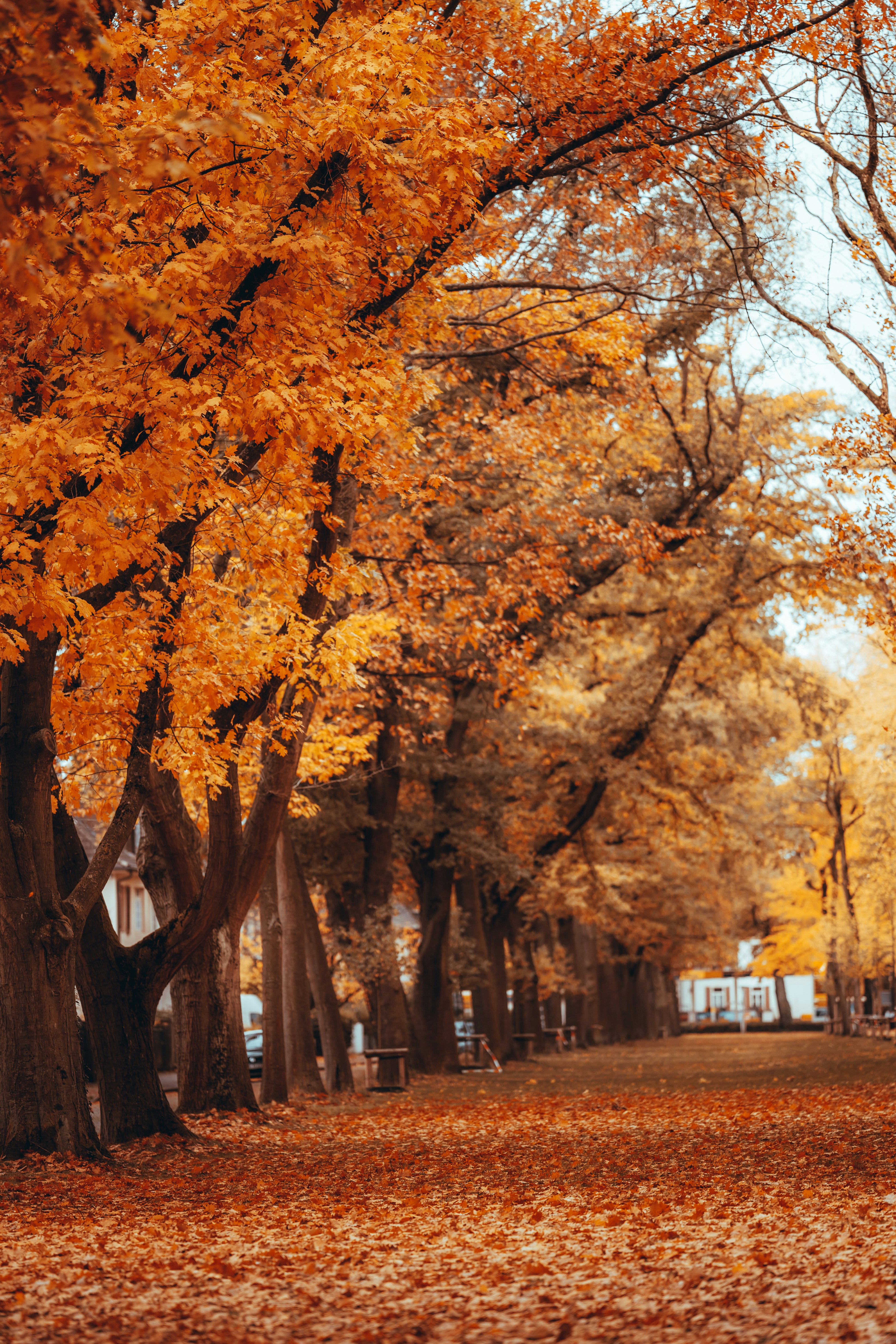 Photo by omarvellous14