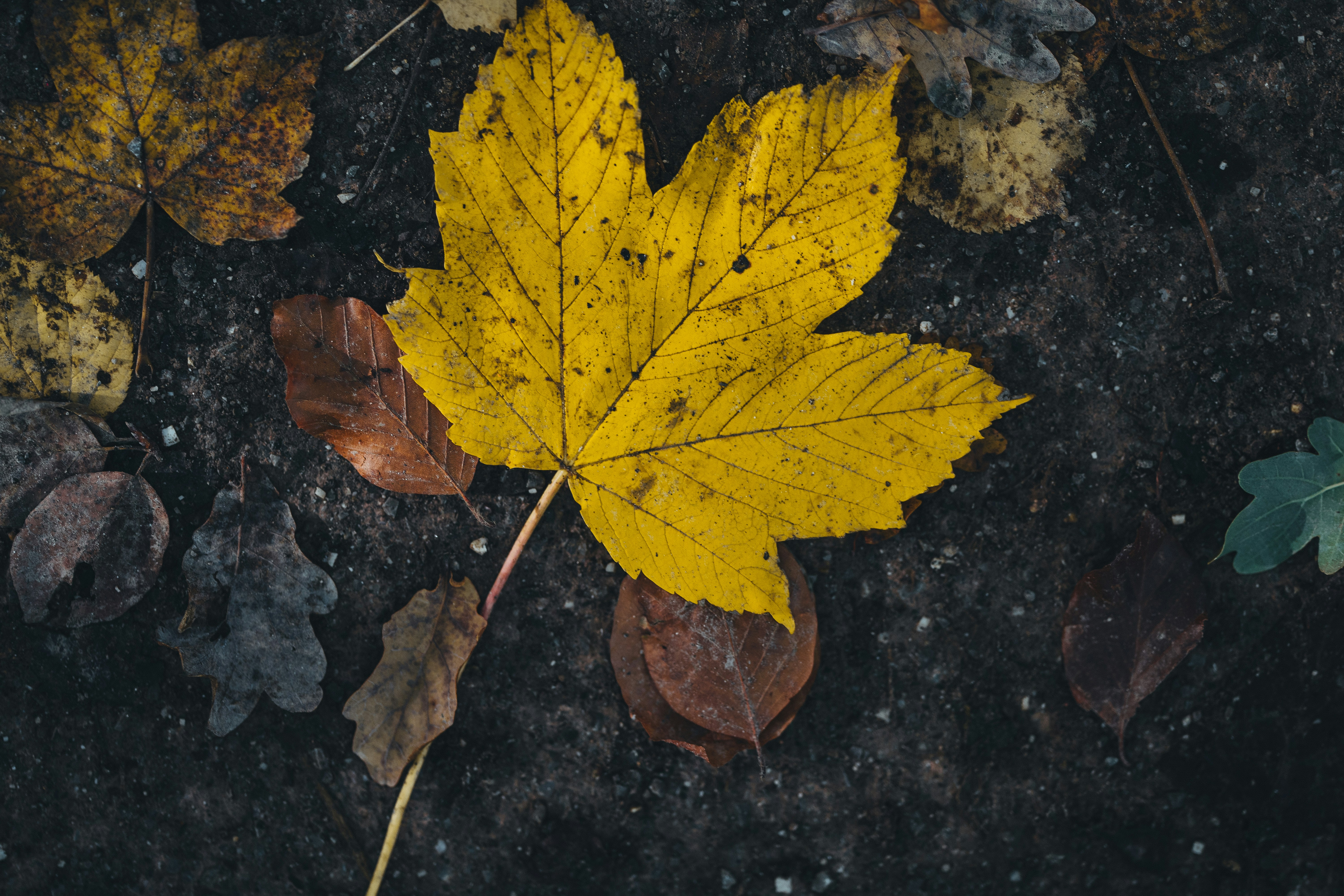 Photo by omarvellous14