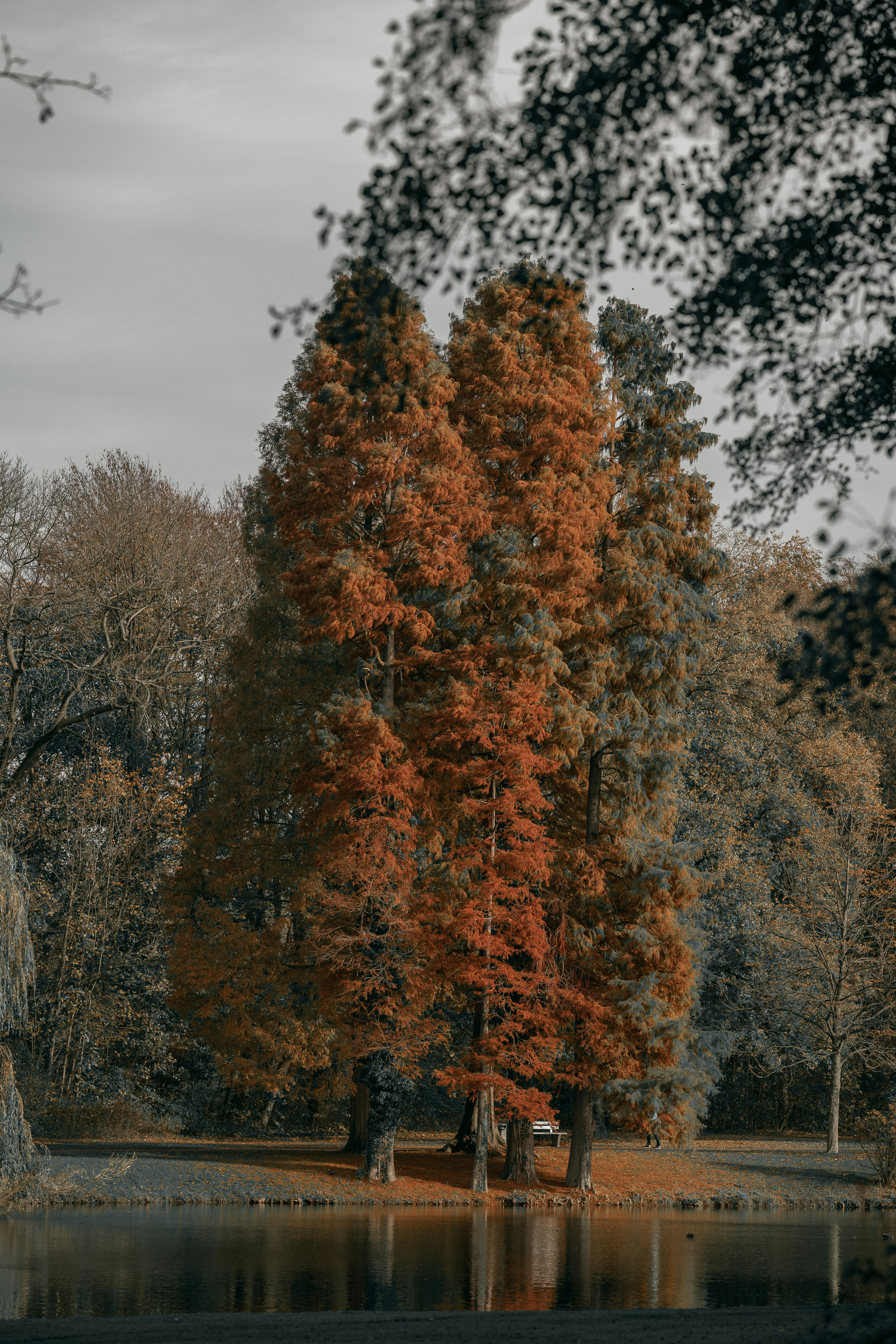 Photo by omarvellous14