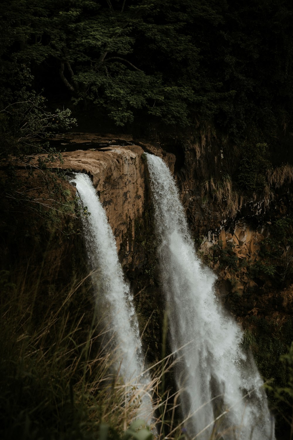 a waterfall in a forest