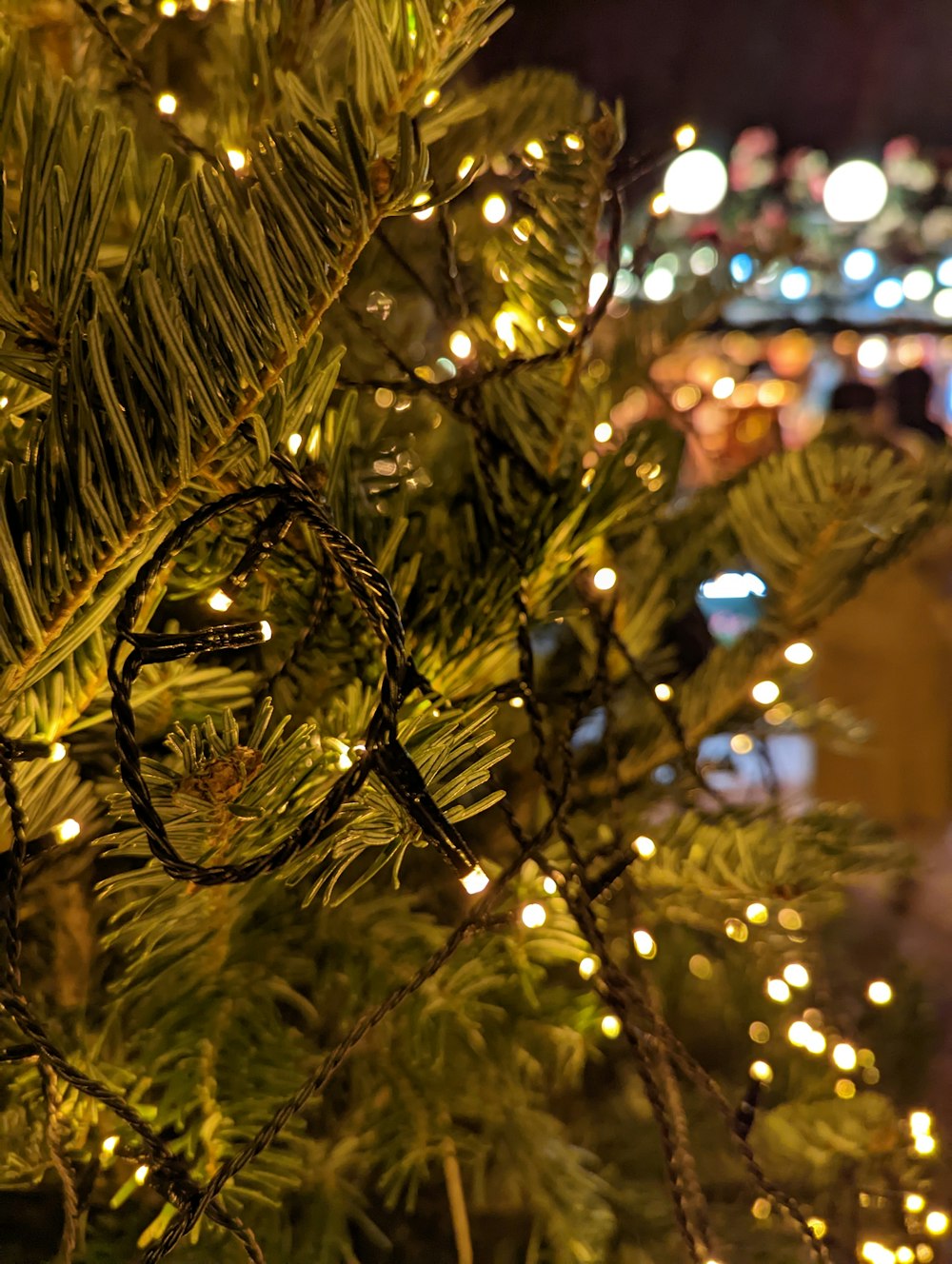 a tree with lights