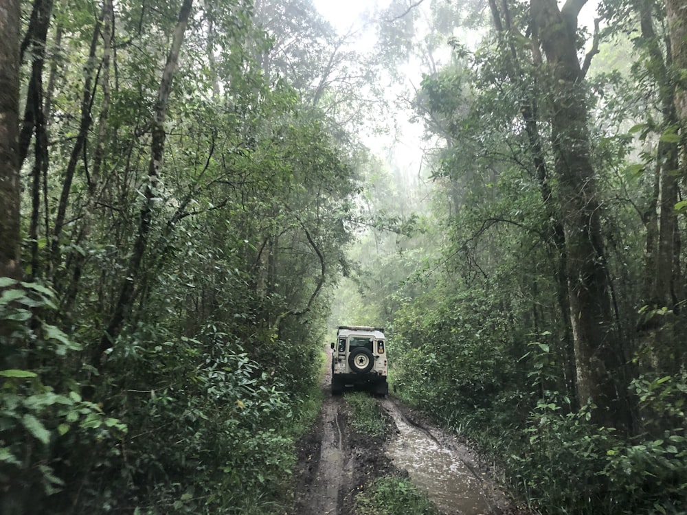 a car driving on a dirt road in the woods