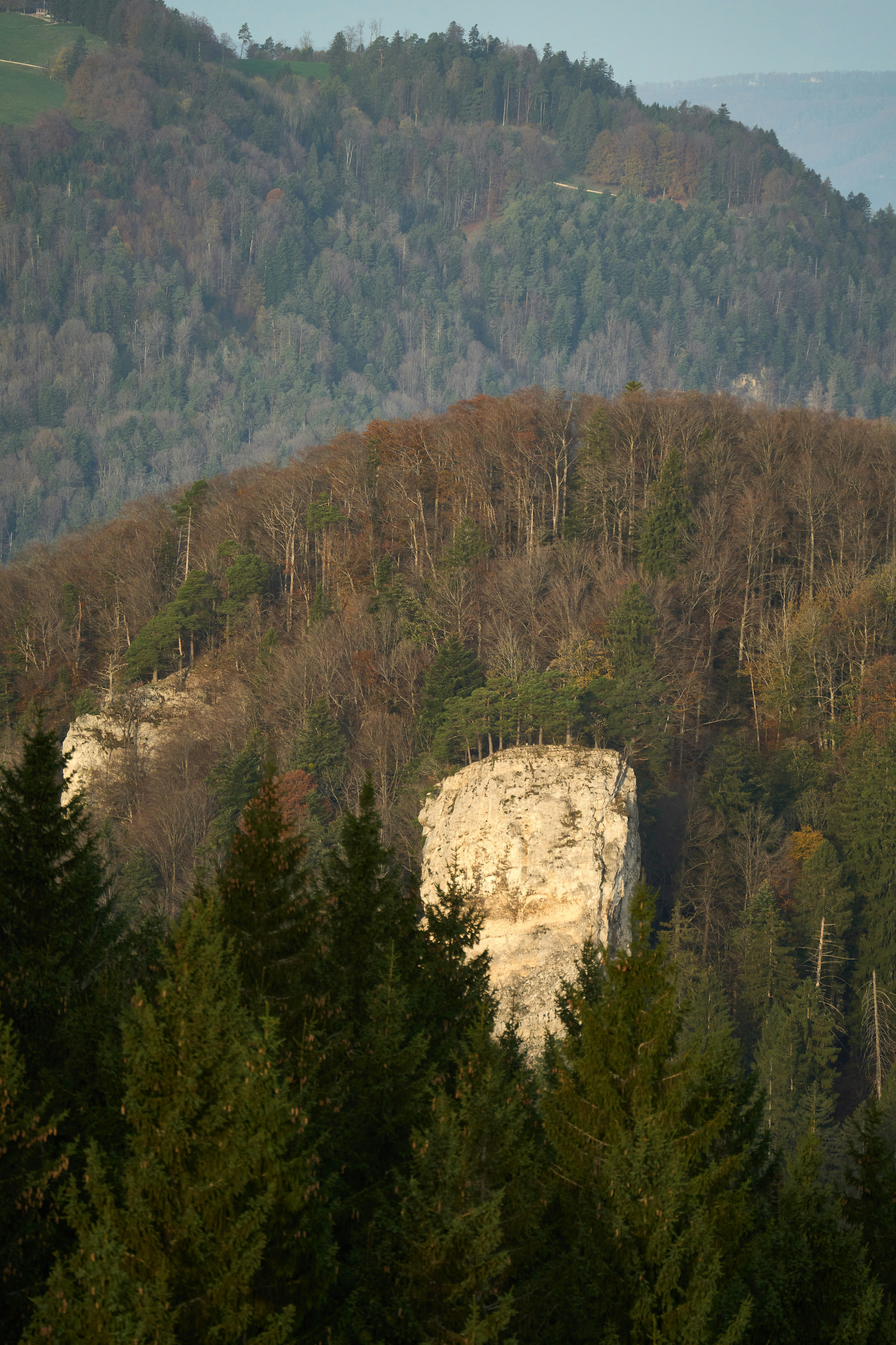 Photo by wolfgang_hasselmann