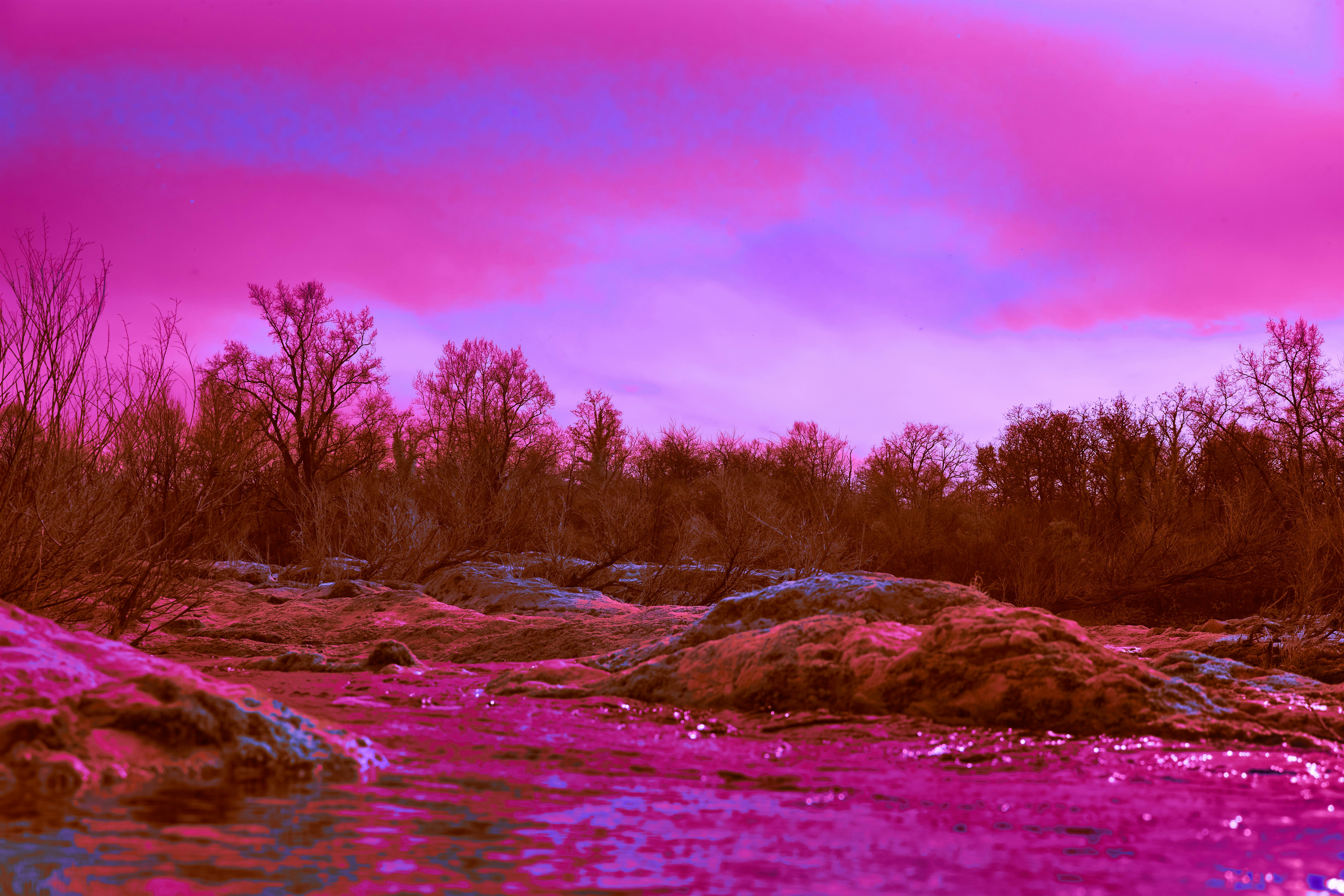 Photo by wolfgang_hasselmann