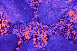 a close up of a blue cloth