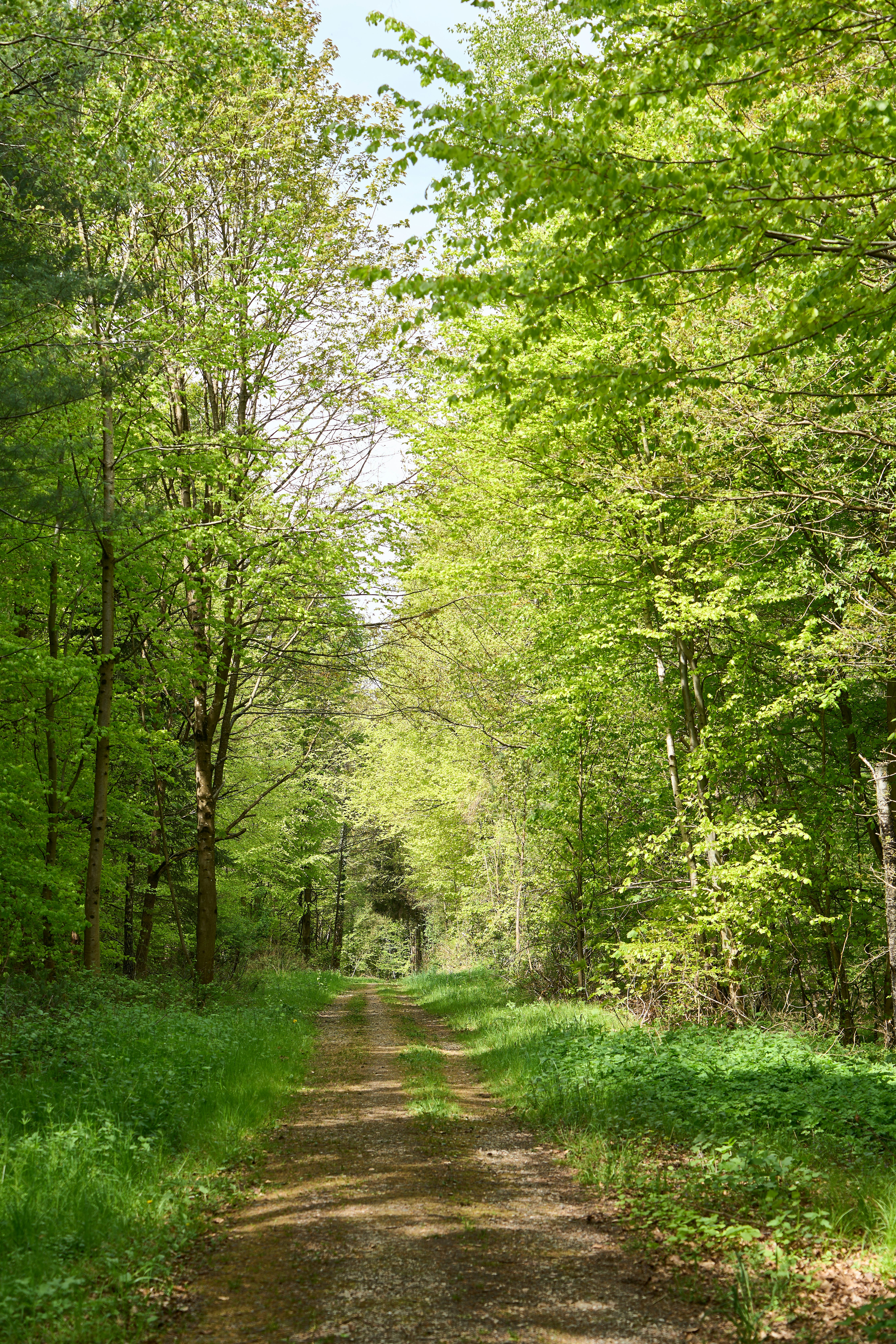 Photo by wolfgang_hasselmann