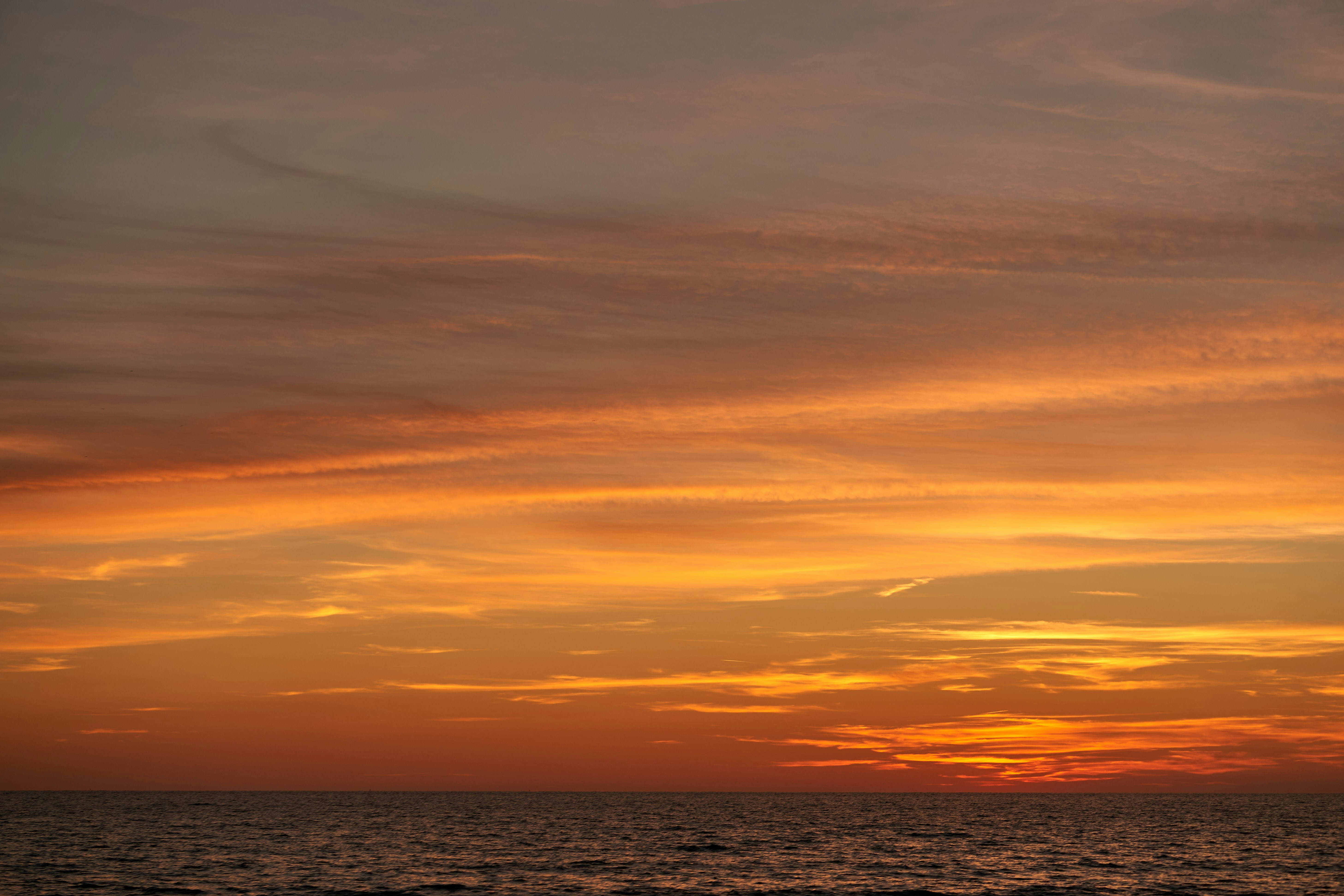 Photo by wolfgang_hasselmann