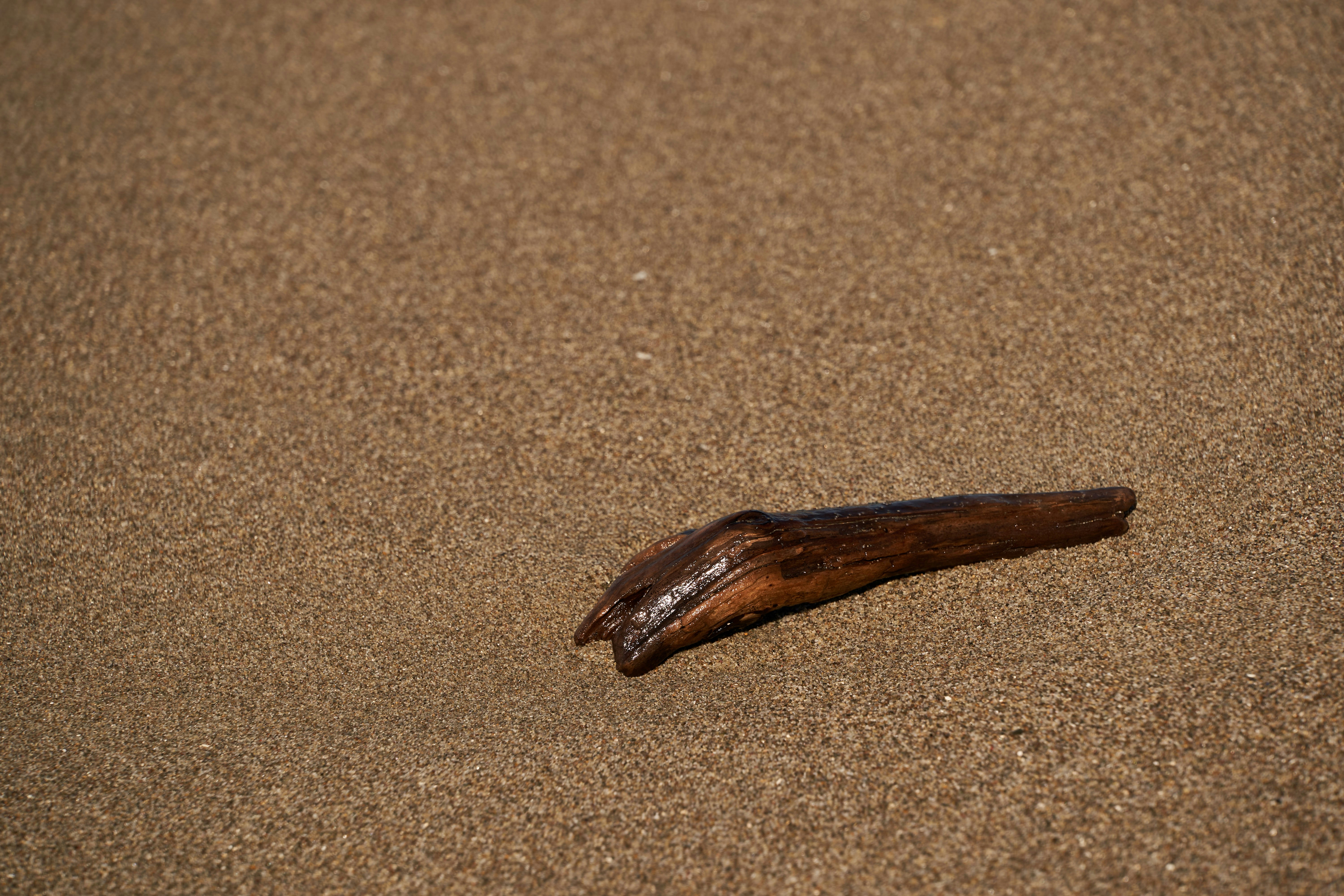 Photo by wolfgang_hasselmann