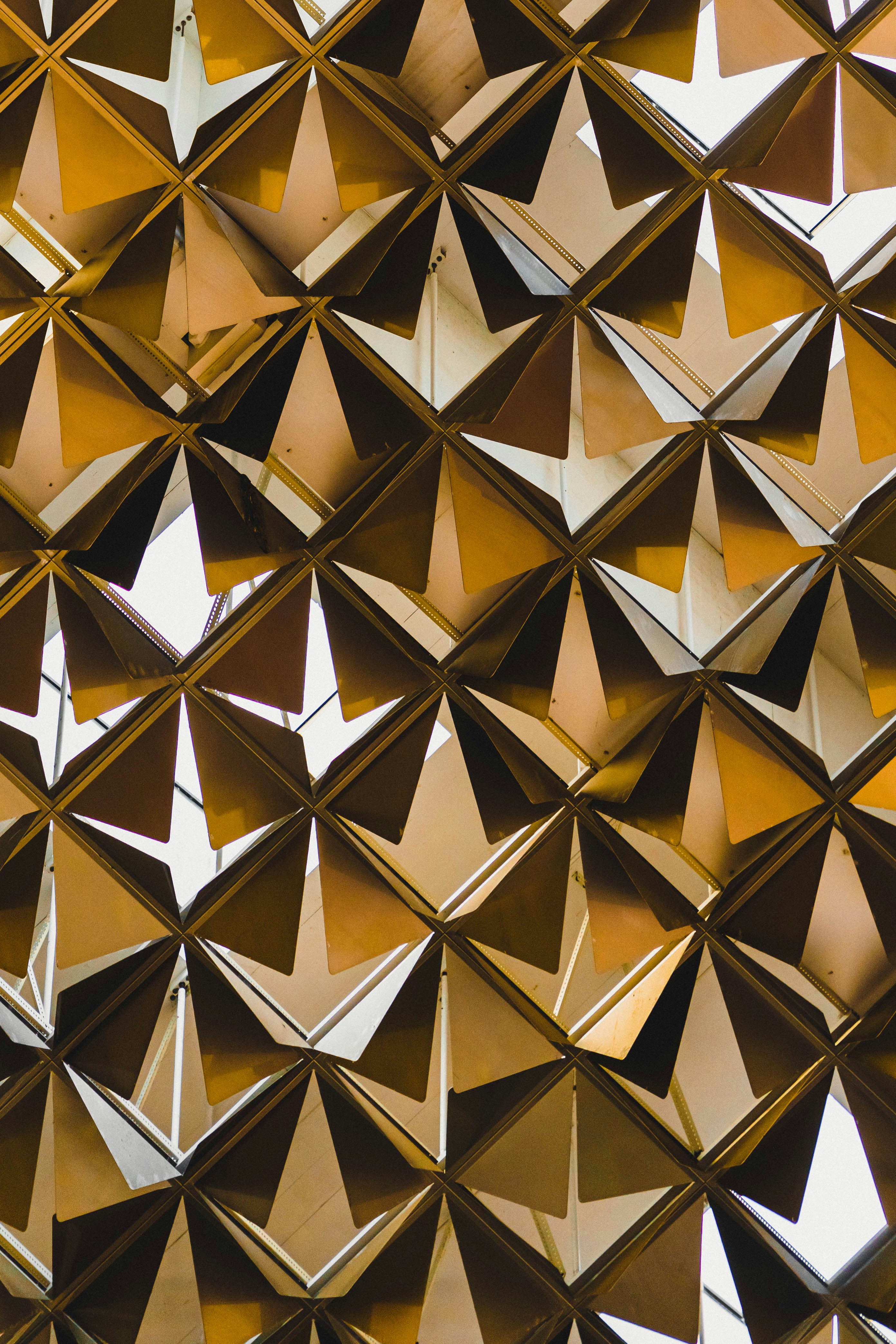 Photo by __evanyang__