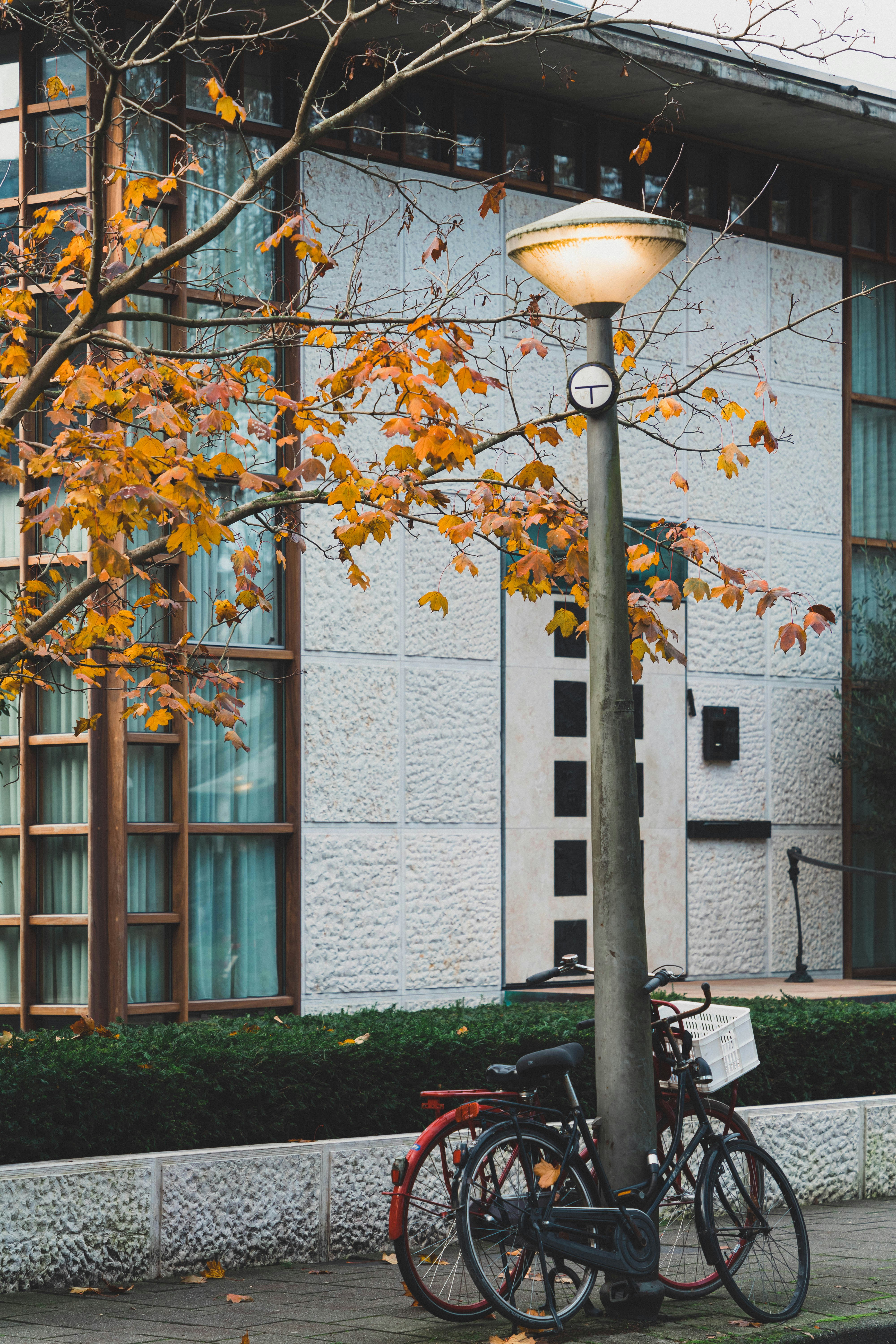 Photo by __evanyang__