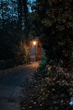 A quiet garden path lined with soft moss and scattered autumn leaves beneath glowing lanterns.