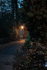 A quiet garden path lined with soft moss and scattered autumn leaves beneath glowing lanterns.