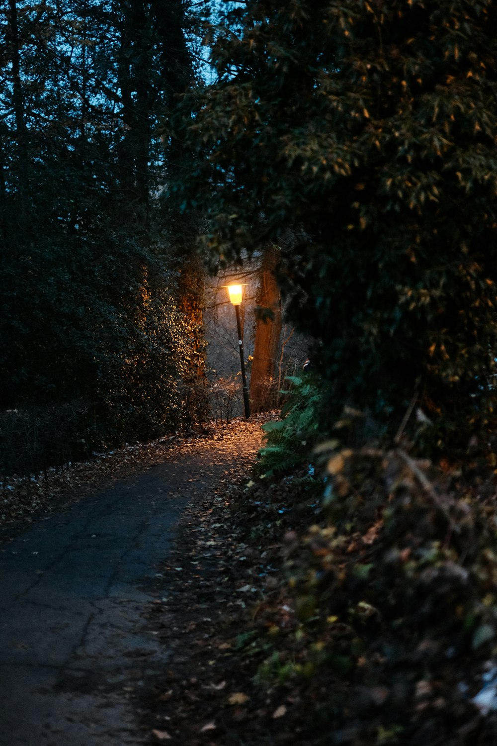 a stone path with a light on it and trees on either side