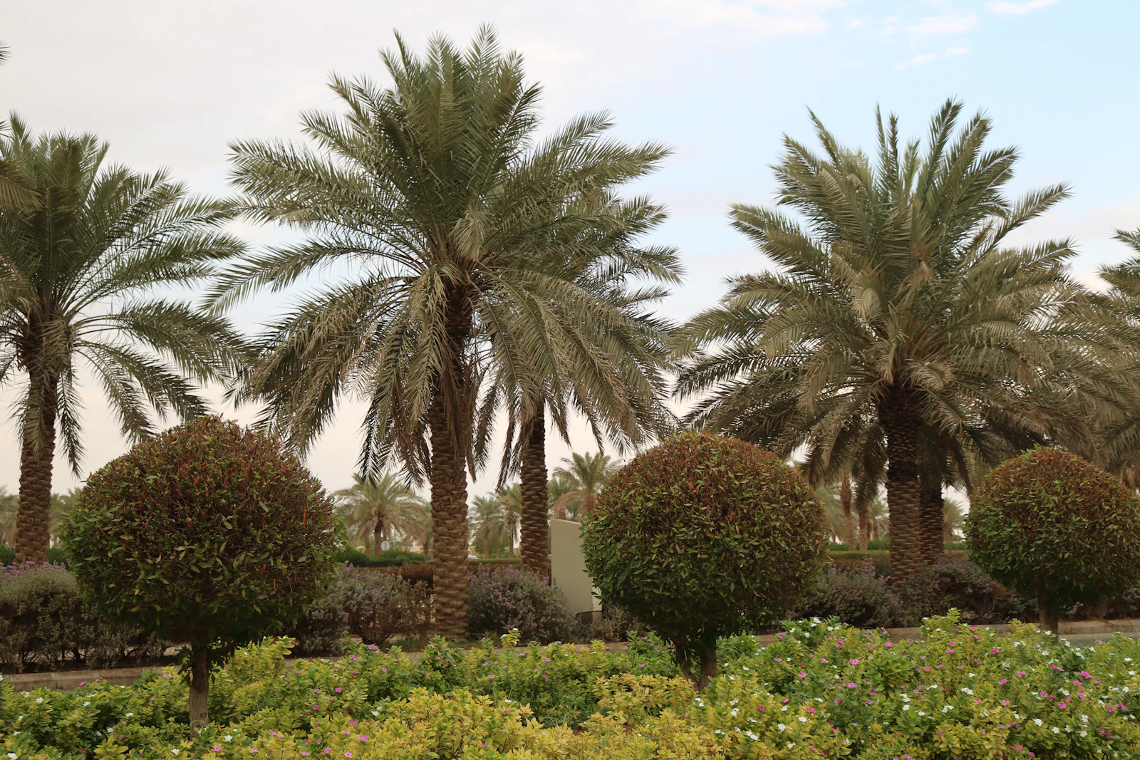 Four Seasons Hotel Diriyah