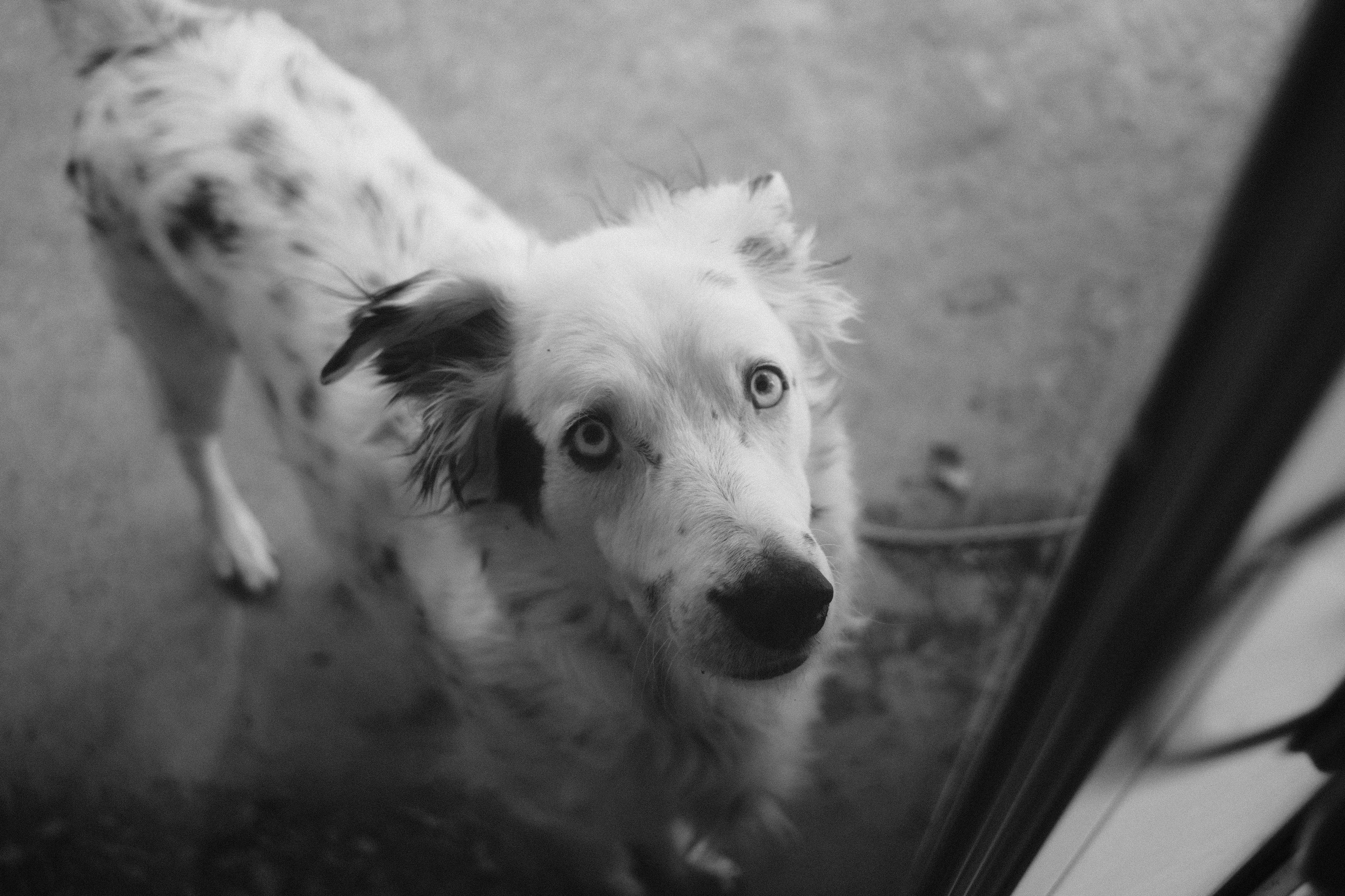 Photo by _jacksoonw_