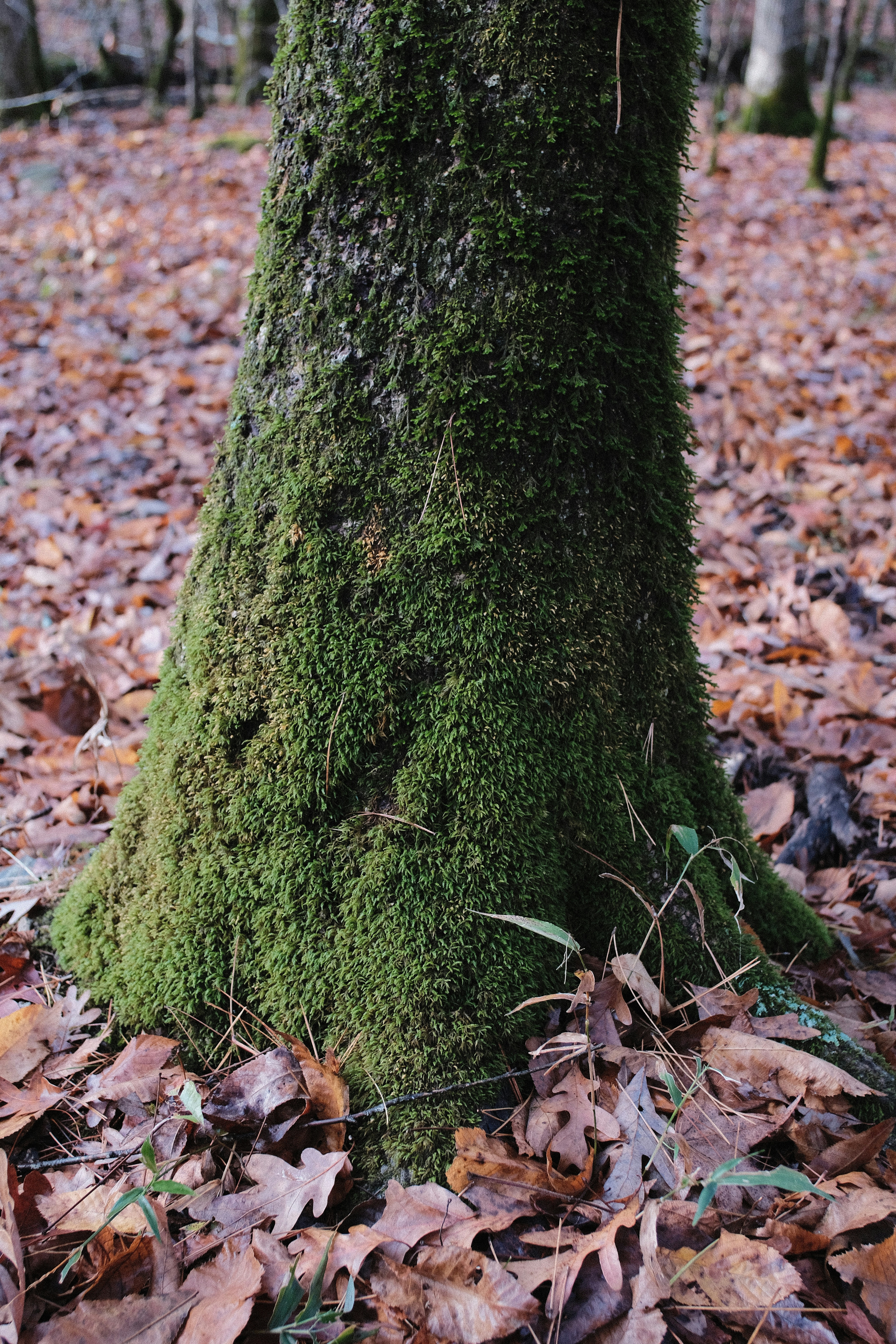 Photo by _jacksoonw_