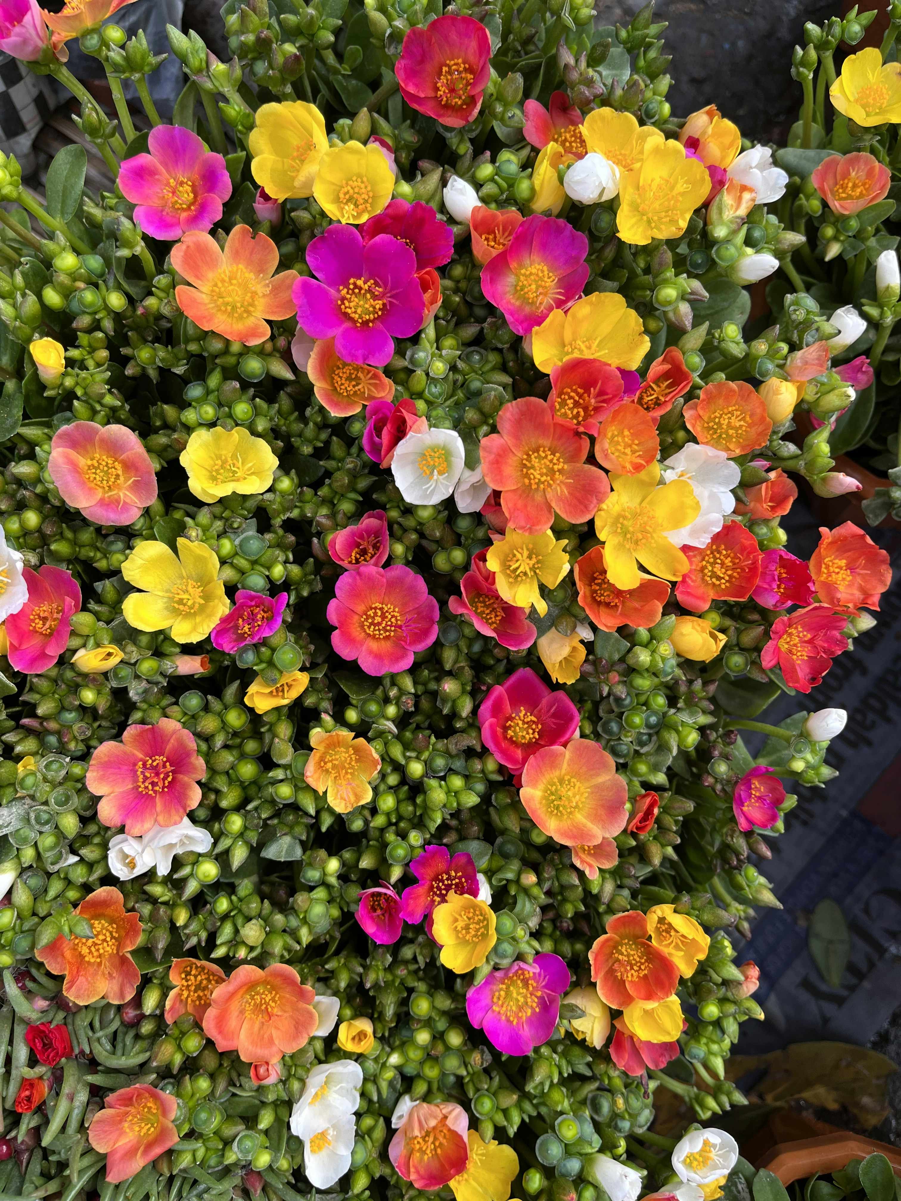 Photo by leo_maverick