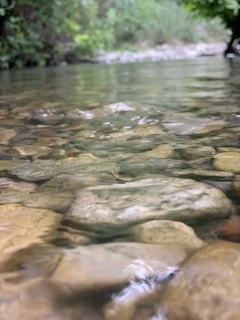 Crystal clear natural spring water flowing gently over smooth stones surrounded by lush greenery