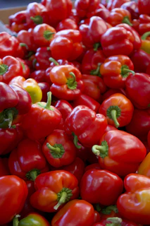 A vibrant mix of red and yellow bell peppers freshly harvested and ready to ship.