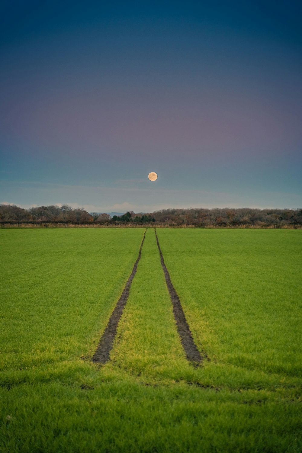 a field with a trail and a moon in the sky