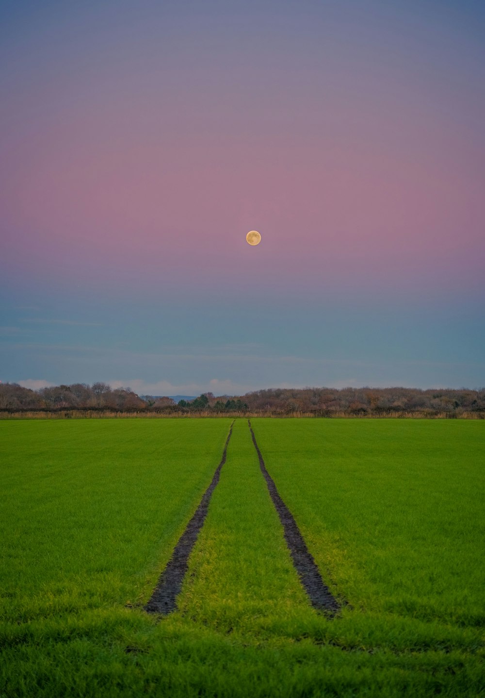 a field with a path and a moon in the sky