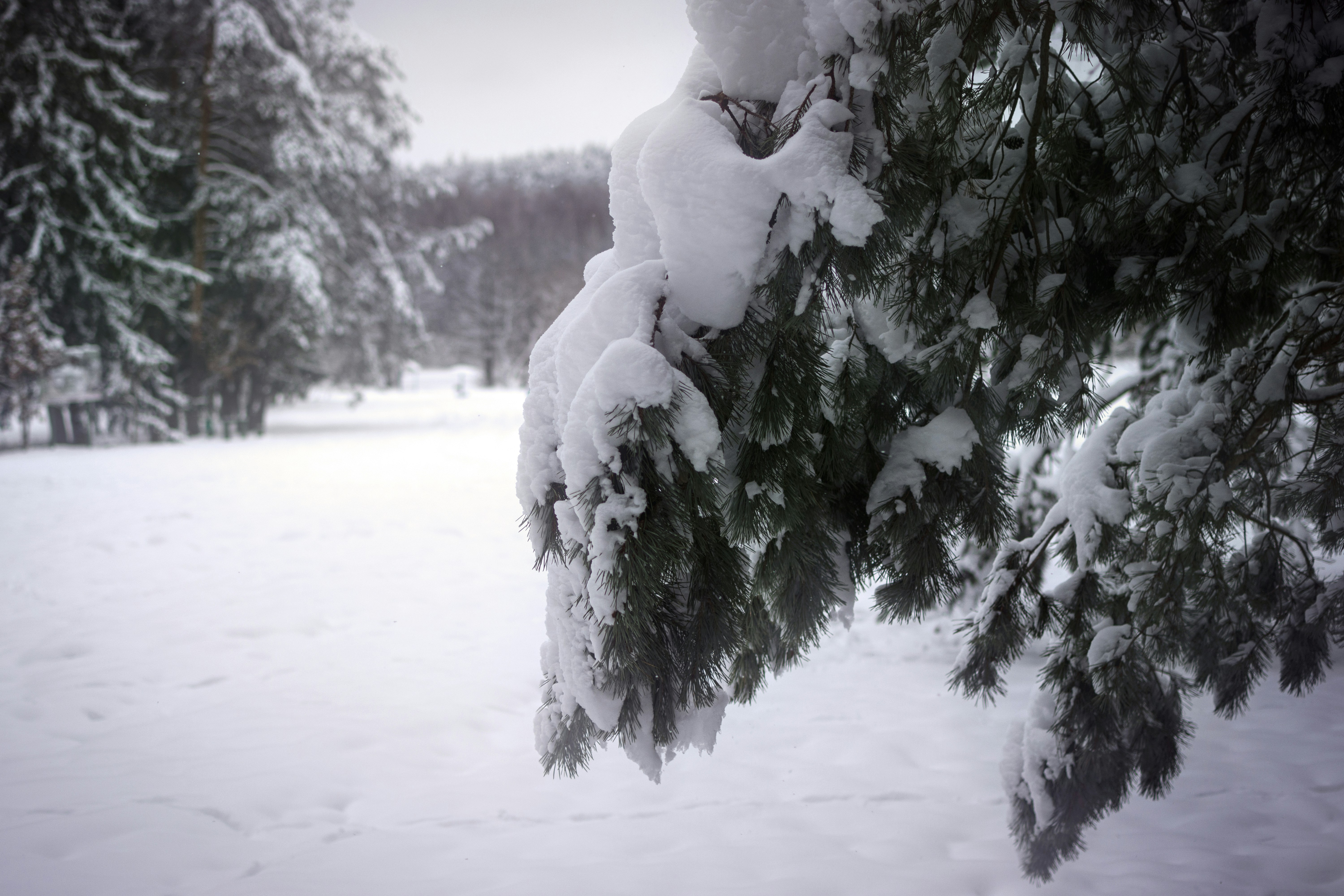 Photo by eadutskevich