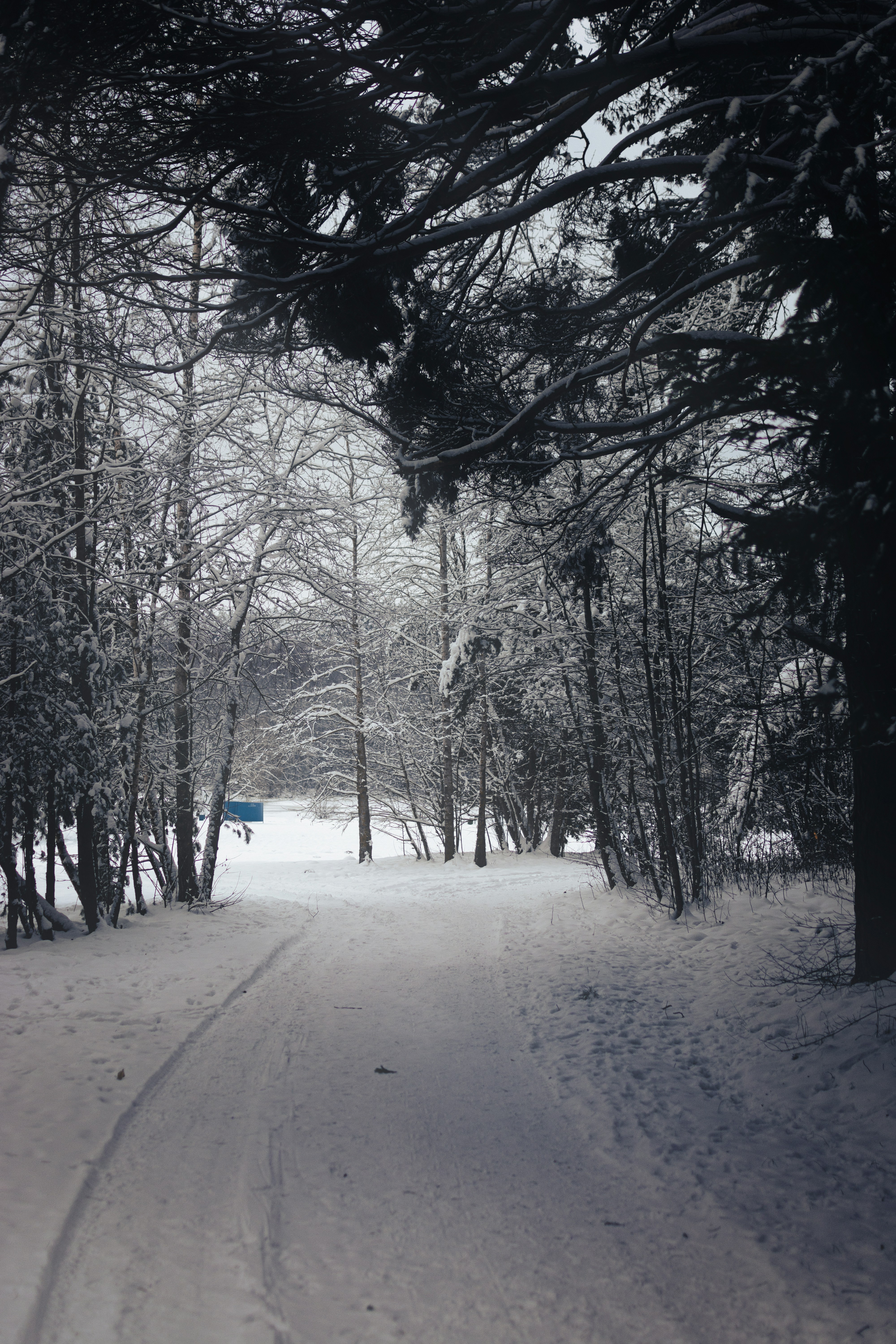 Photo by eadutskevich