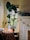 A cozy room features a large potted plant with broad green leaves placed by a window. Soft lighting from string lights adds warmth to the scene. There is a fireplace adorned with string lights and a small potted plant. A patterned pillow rests on a sofa, contributing to the cozy ambiance.