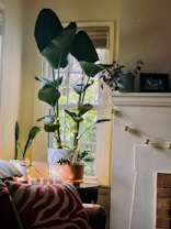 A cozy room features a large potted plant with broad green leaves placed by a window. Soft lighting from string lights adds warmth to the scene. There is a fireplace adorned with string lights and a small potted plant. A patterned pillow rests on a sofa, contributing to the cozy ambiance.