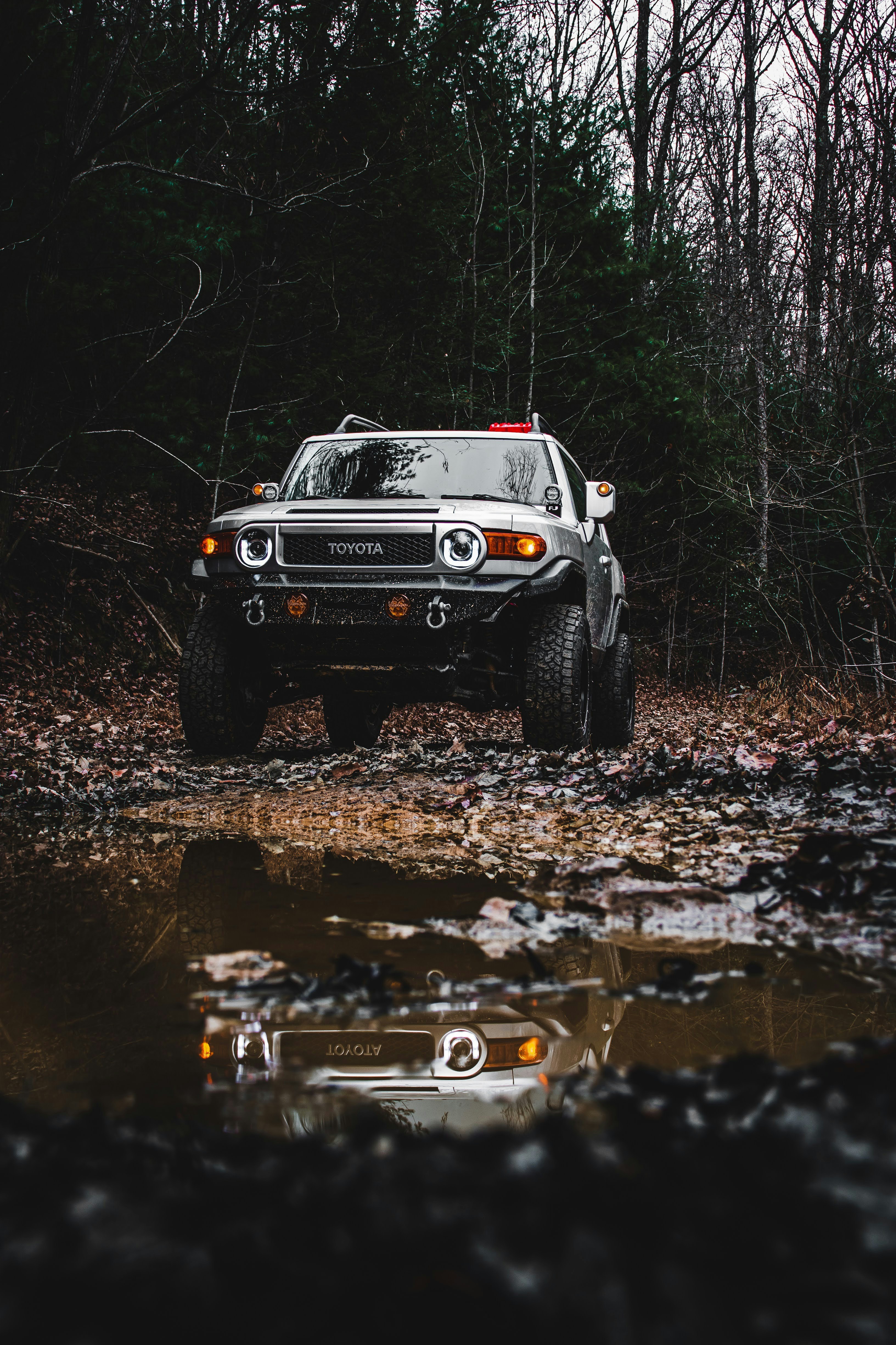 off road truck wallpaper, wallpaper, Ford Raptor: The Ultimate Off-Road Truck 1