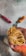 A hand holding a bundle of freshly made pasta, with a dusting of flour on the surface. Nearby tools include a red-handled knife and a pastry wheel with a wooden handle.