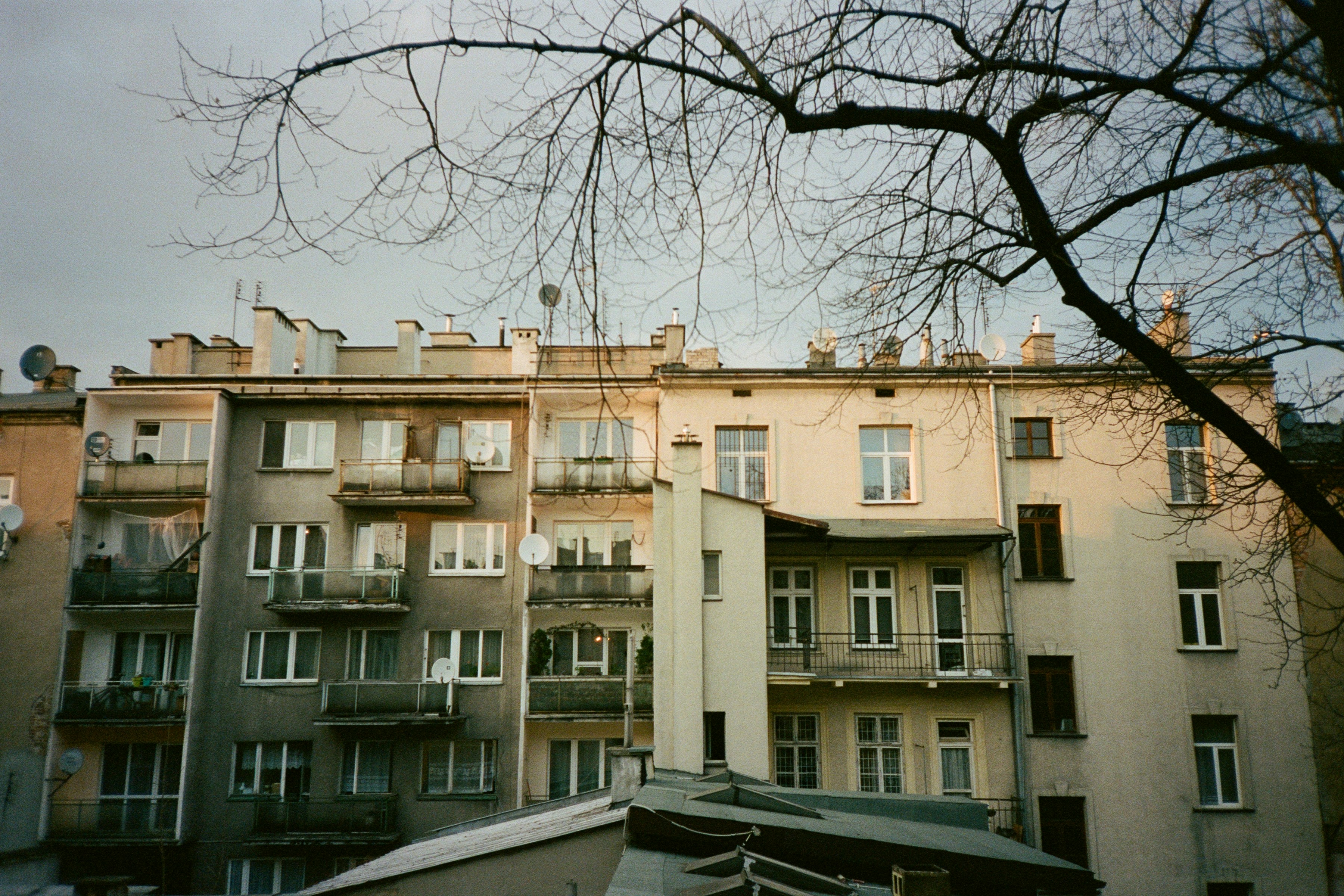 a building with balconies and a tree in the front
