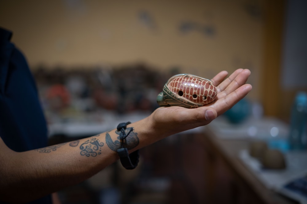 a person holding a small turtle