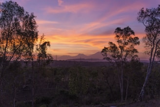 A hauntingly beautiful landscape at dusk.