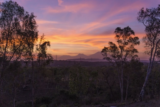 A hauntingly beautiful landscape at dusk.