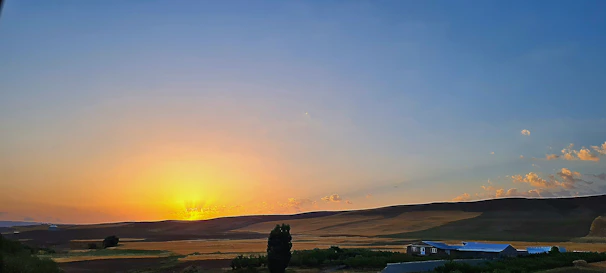 A panoramic shot of a sunset over the Syrian countryside, with soft golden light and rolling hills.