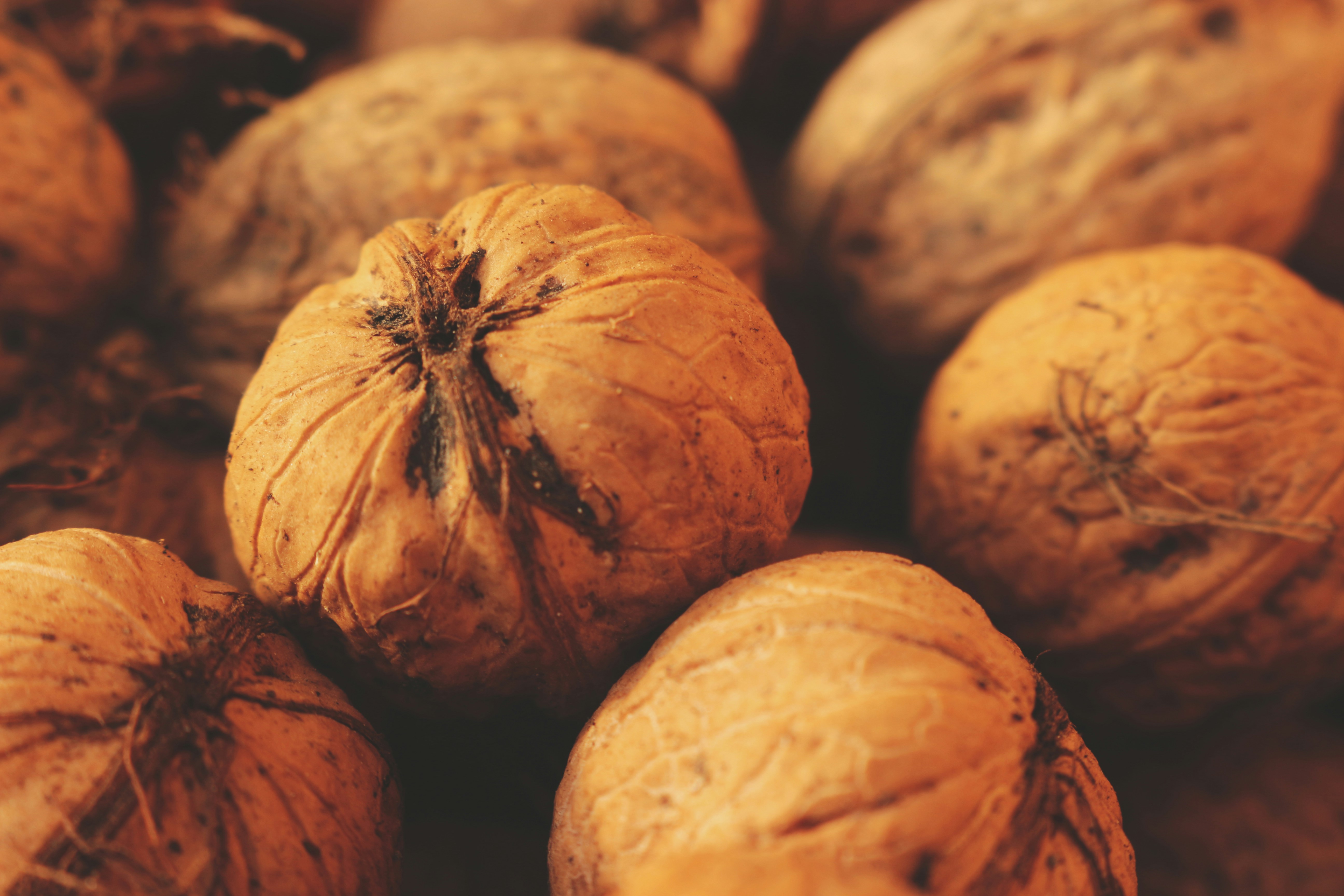 Photo by miloslopusina