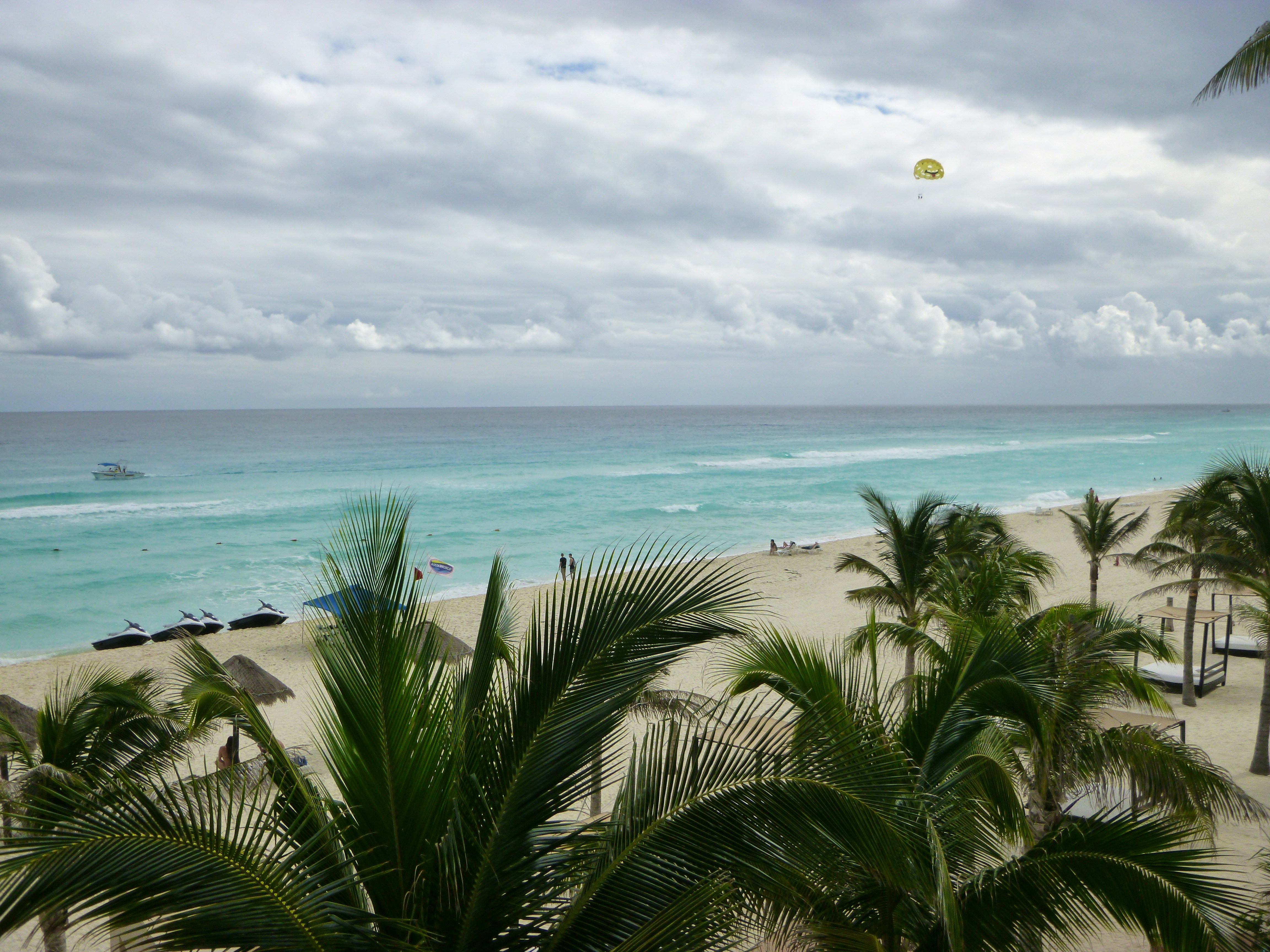 a beach with palm trees and a body of water in the background