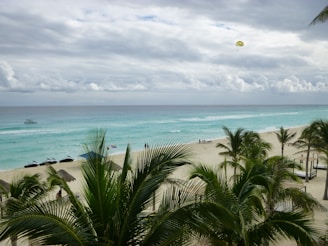 a beach with palm trees and a body of water in the background