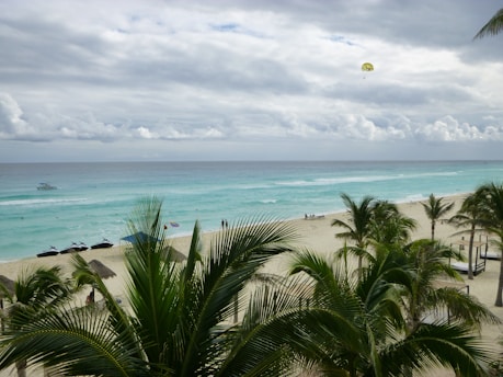 a beach with palm trees and a body of water in the background