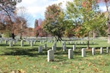 A peaceful view of a small, lovingly maintained family grave plot.