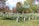 A peaceful cemetery adorned with rows of white tombstones set against a backdrop of vibrant autumn foliage and lush green grass. Sunlight filters through the trees, casting gentle shadows on the landscape.