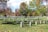 A peaceful cemetery adorned with rows of white tombstones set against a backdrop of vibrant autumn foliage and lush green grass. Sunlight filters through the trees, casting gentle shadows on the landscape.