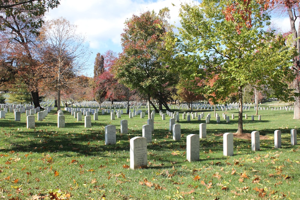 um cemitério com muitas lápides