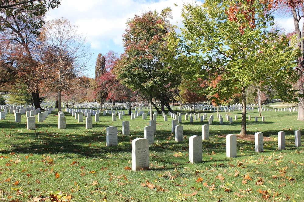 a cemetery with many gravestones