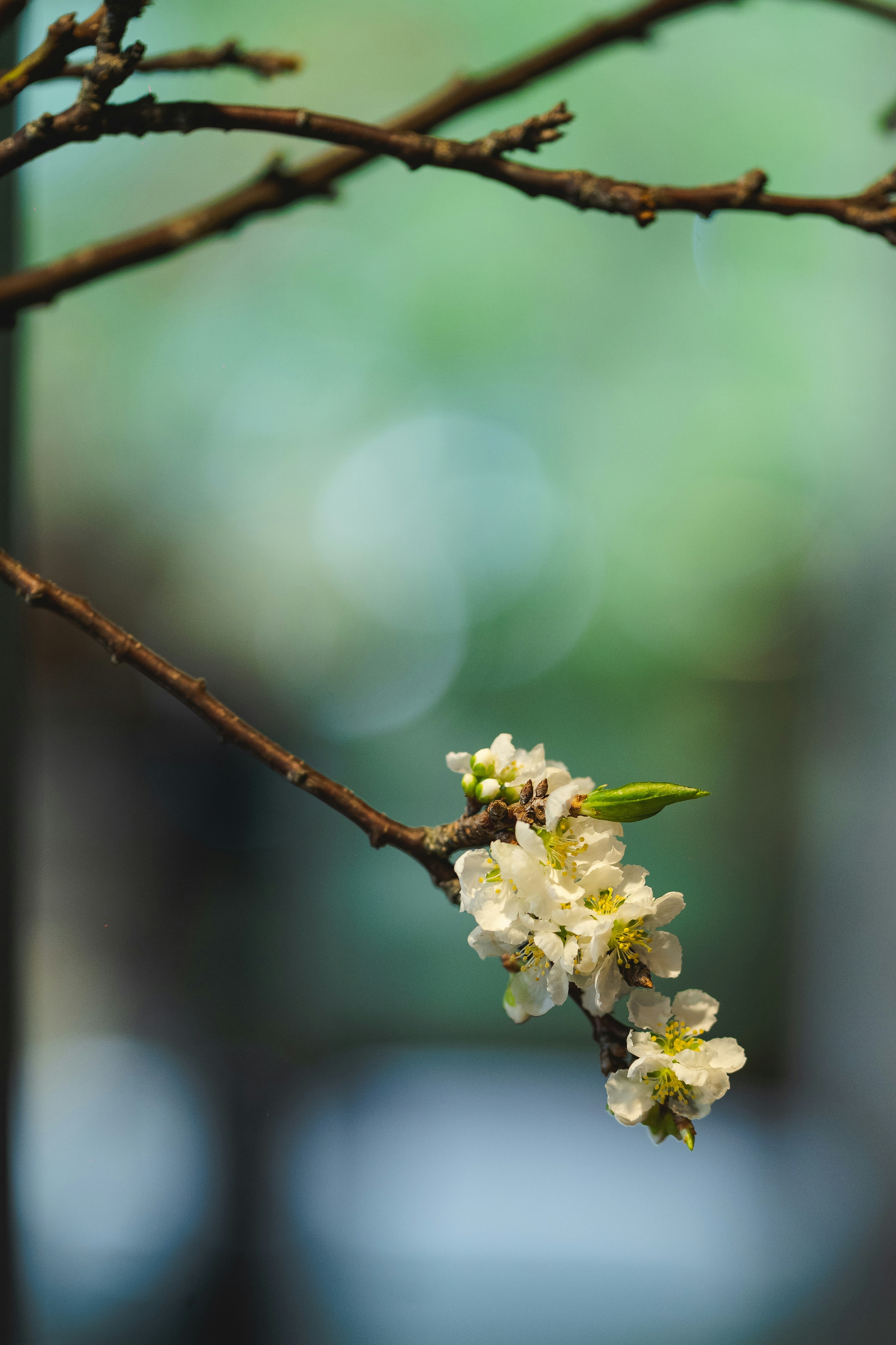 Photo by chuoichumpapa