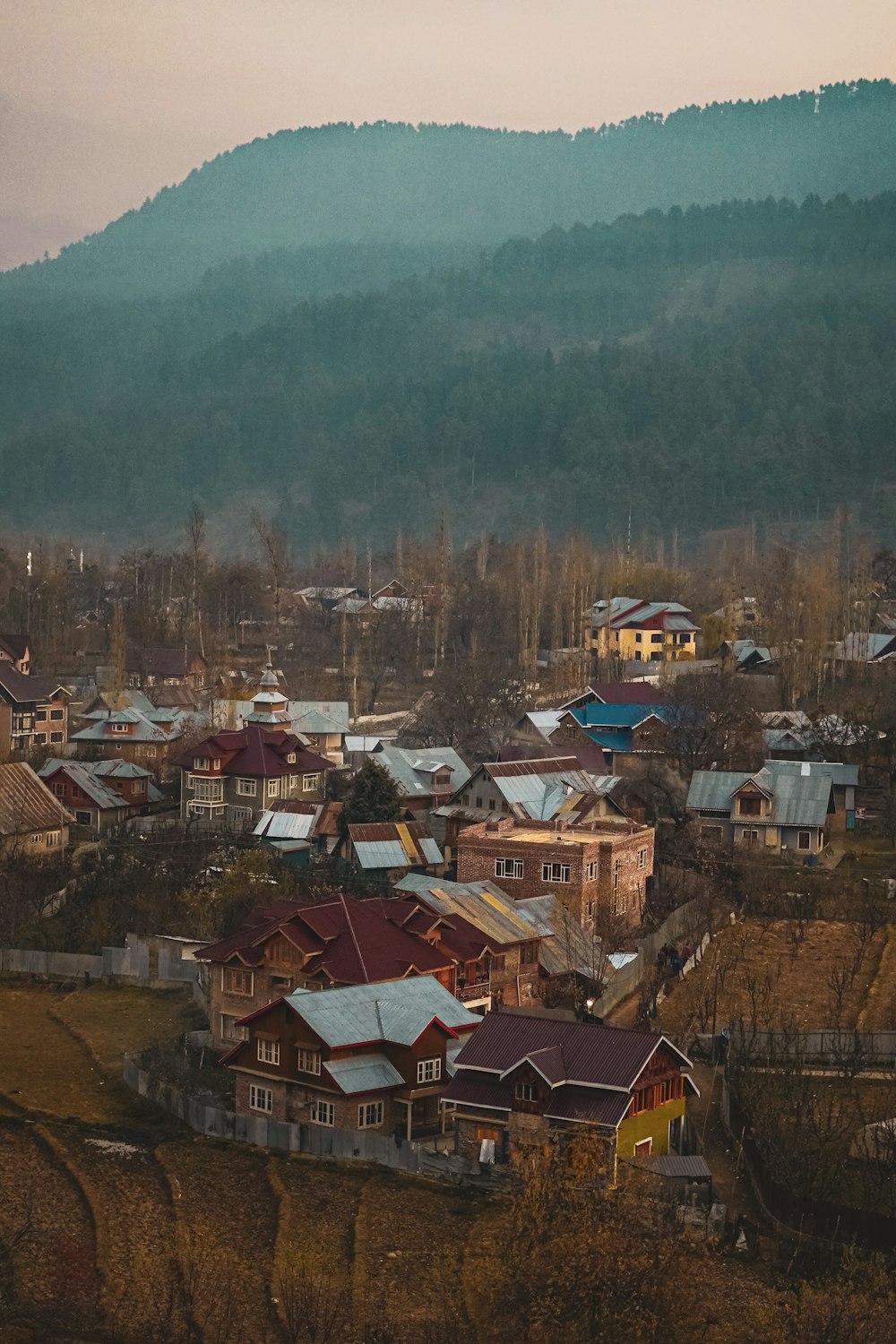 a group of houses in a town